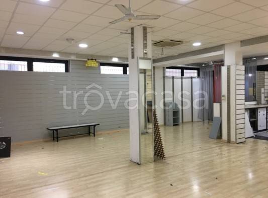 immagine annuncio 3 di 8