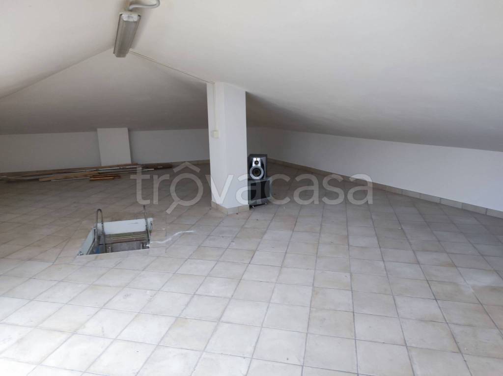 immagine annuncio 2 di 14