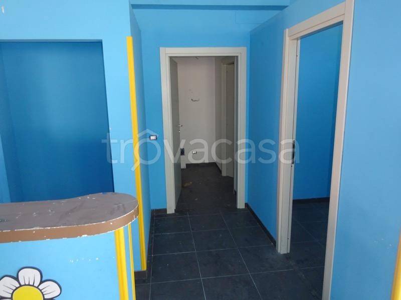 immagine annuncio 1 di 14