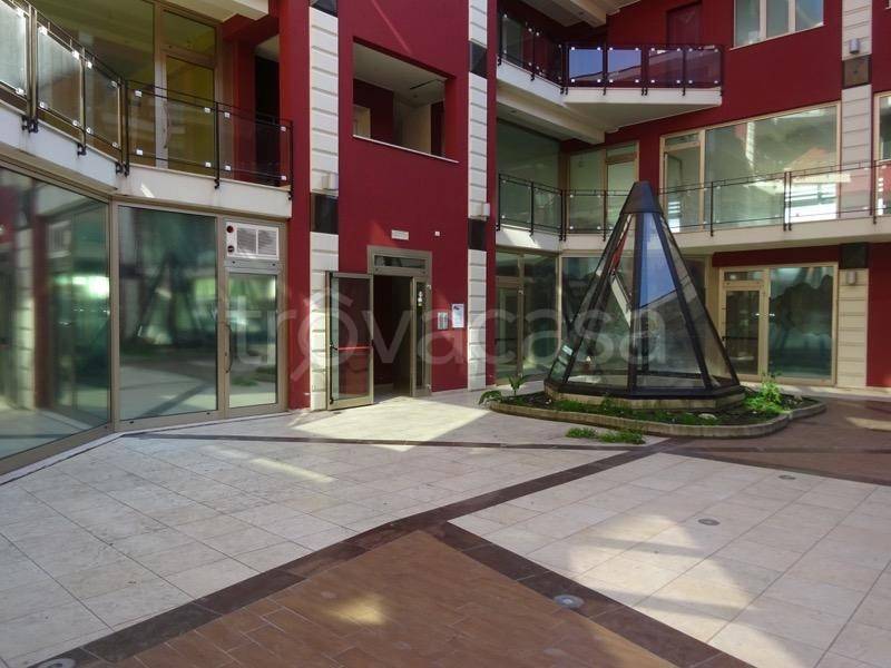 immagine annuncio 6 di 14