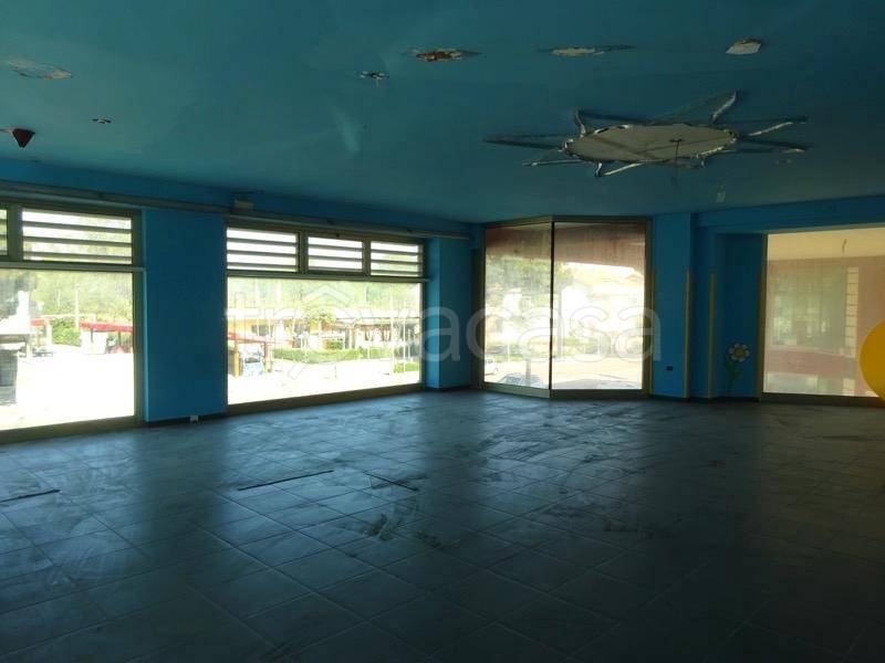 immagine annuncio 8 di 14