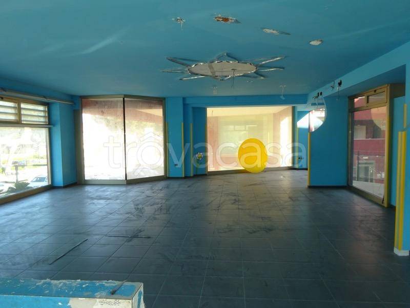 immagine annuncio 9 di 14