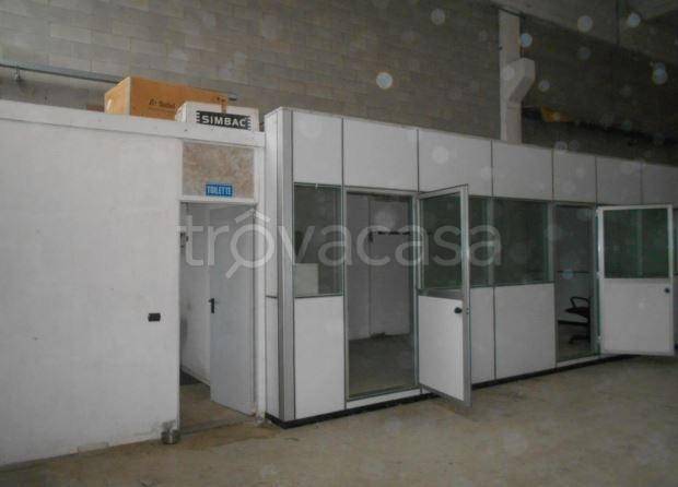 immagine annuncio 2 di 6