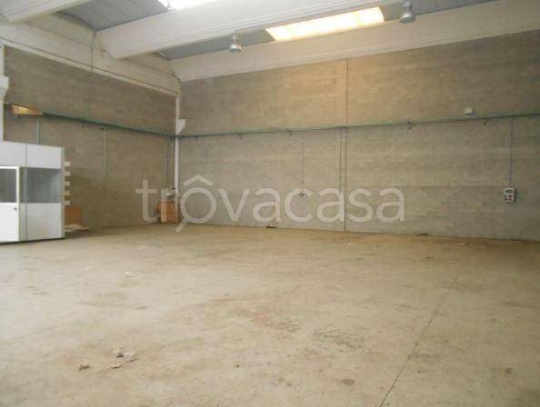 immagine annuncio 3 di 6