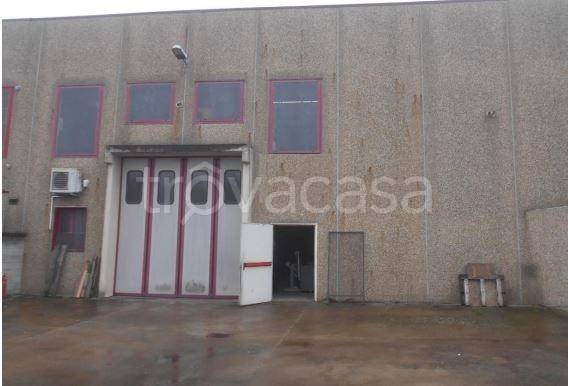 immagine annuncio 5 di 6