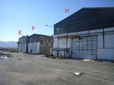 immagine annuncio 4 di 8