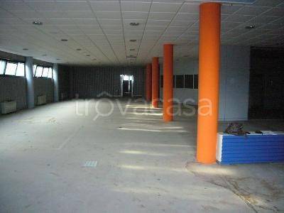 immagine annuncio 2 di 7