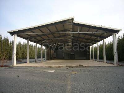 immagine annuncio 4 di 7