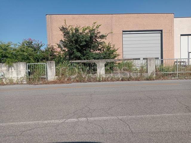 immagine annuncio 1 di 9