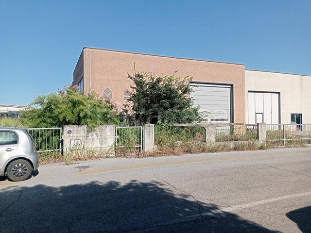 immagine annuncio 2 di 9