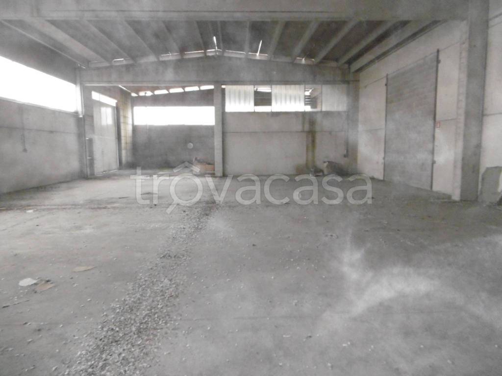 immagine annuncio 4 di 9