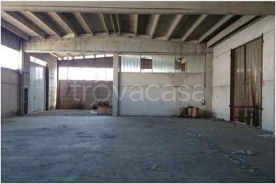 immagine annuncio 5 di 9