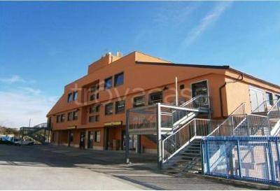 immagine annuncio 5 di 6