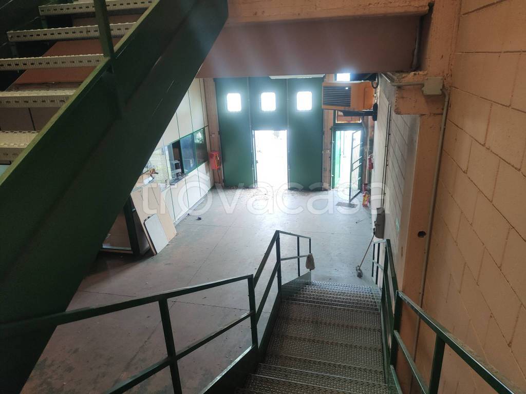 immagine annuncio 6 di 13