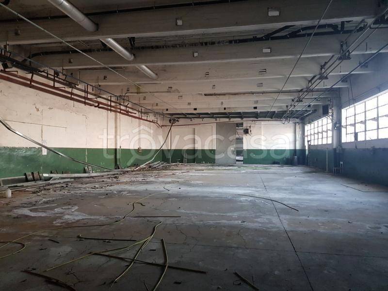 immagine annuncio 4 di 12