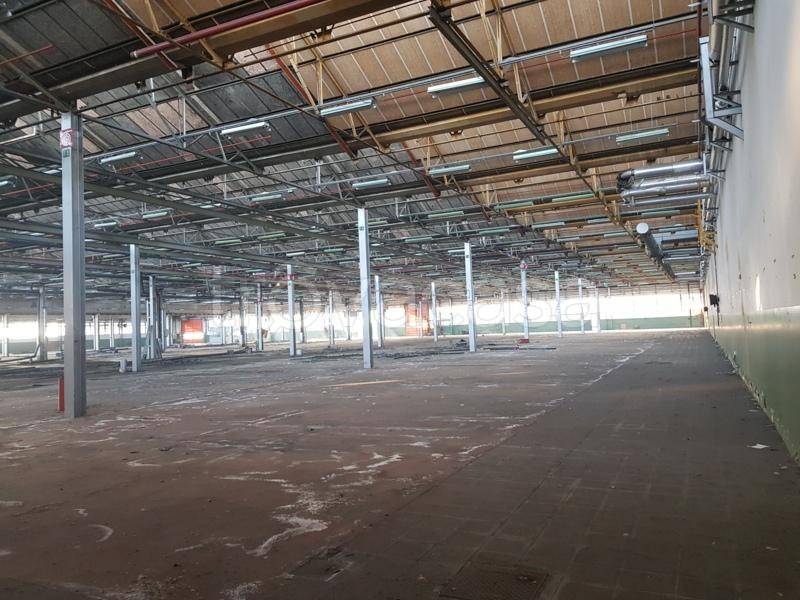 immagine annuncio 6 di 12