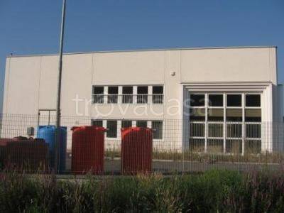 immagine annuncio 7 di 9