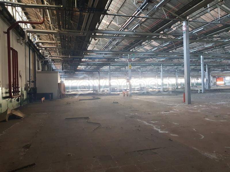 immagine annuncio 7 di 12