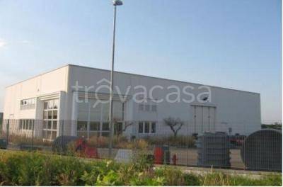 immagine annuncio 8 di 9