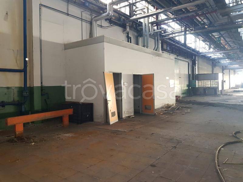 immagine annuncio 8 di 12