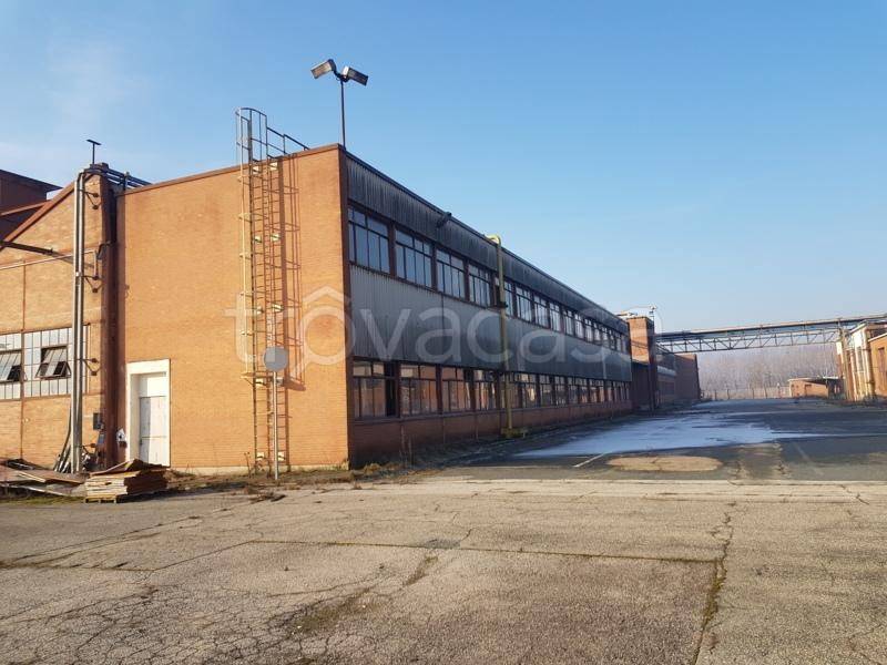 immagine annuncio 9 di 12