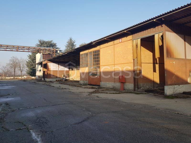 immagine annuncio 10 di 12