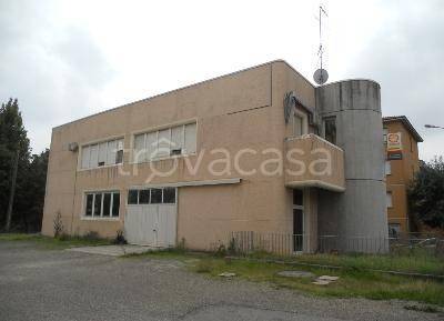 immagine annuncio 8 di 9