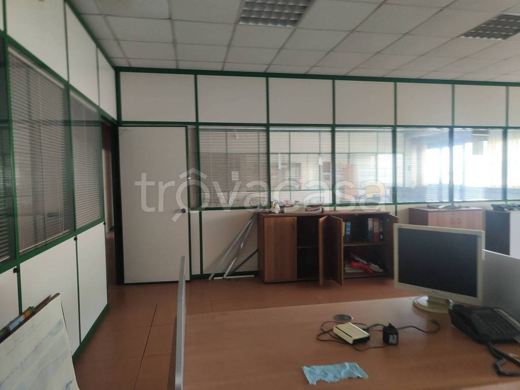 immagine annuncio 11 di 13