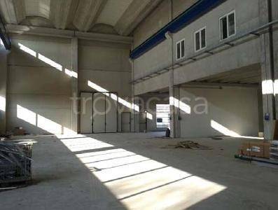 immagine annuncio 4 di 9