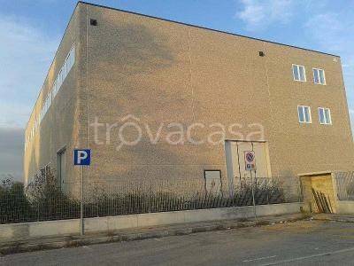 immagine annuncio 8 di 9