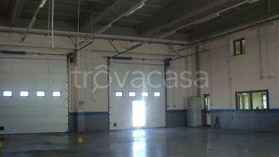 immagine annuncio 1 di 4