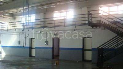 immagine annuncio 2 di 4