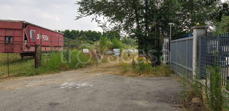 immagine annuncio 3 di 12