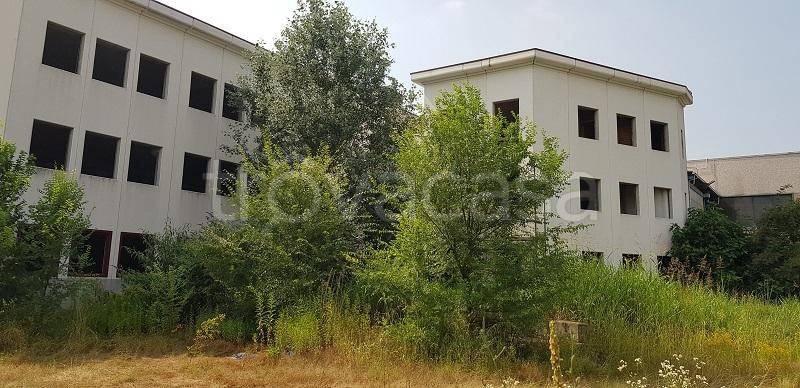 immagine annuncio 4 di 12