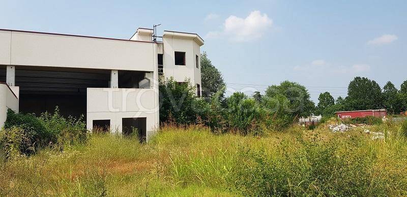 immagine annuncio 5 di 12