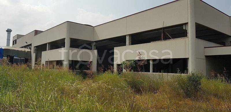 immagine annuncio 6 di 12