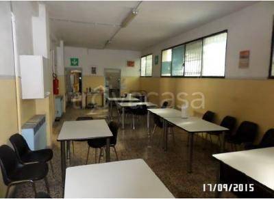 immagine annuncio 3 di 9