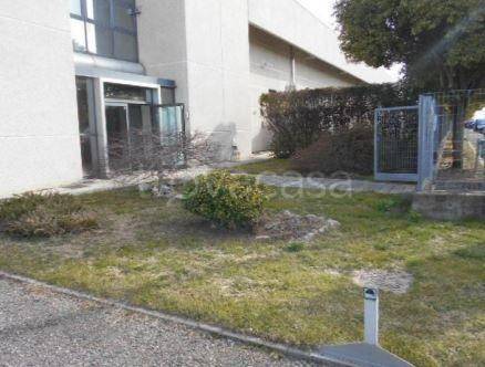 immagine annuncio 2 di 9