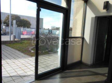 immagine annuncio 3 di 9