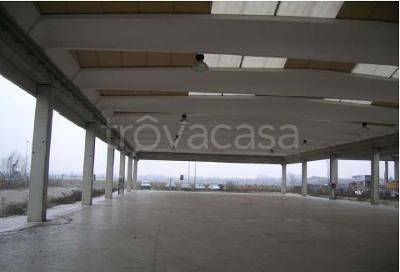 immagine annuncio 4 di 7