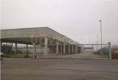 immagine annuncio 5 di 7