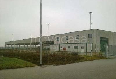 immagine annuncio 6 di 7