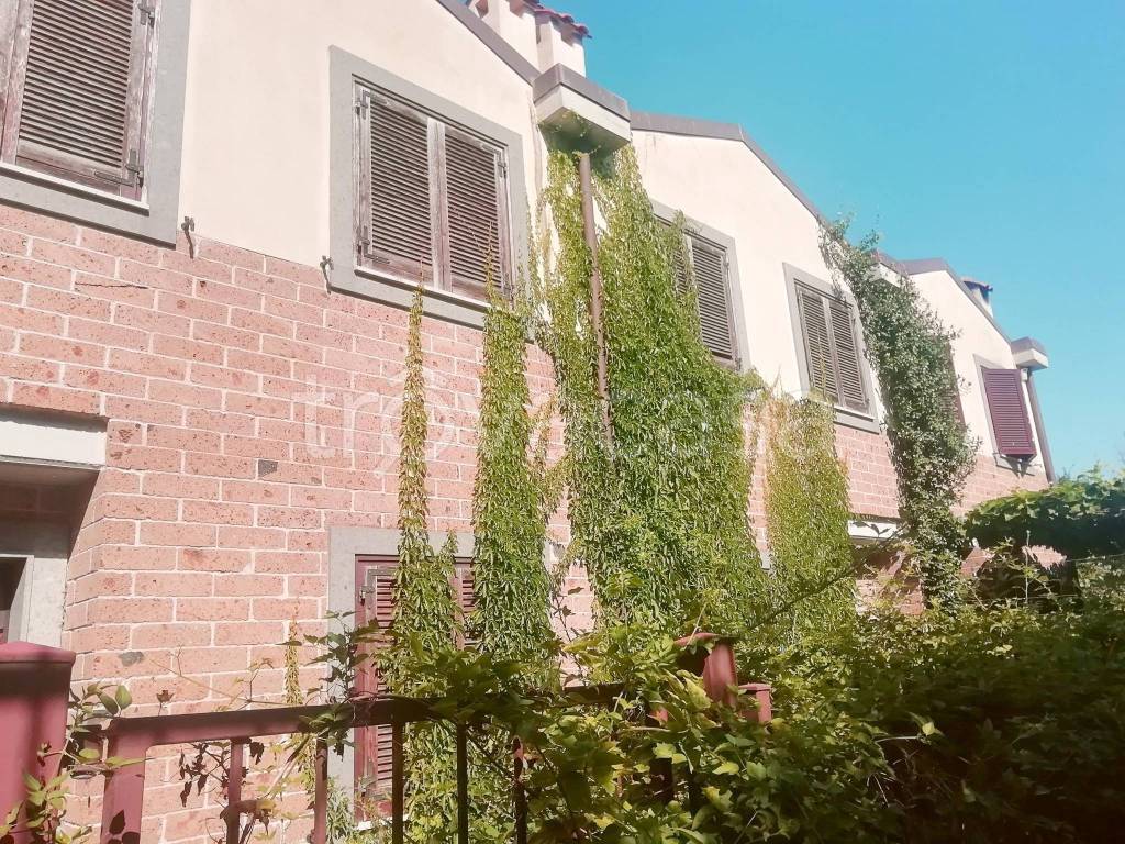 immagine annuncio 1 di 12