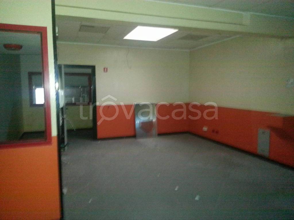 immagine annuncio 2 di 9