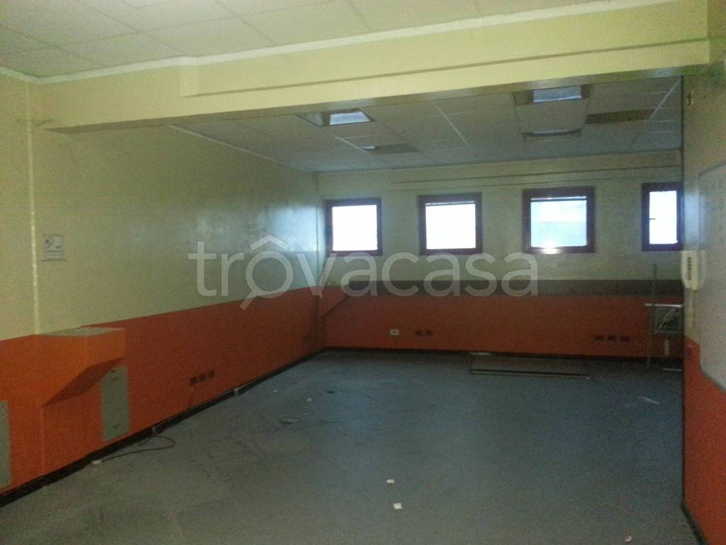 immagine annuncio 3 di 9