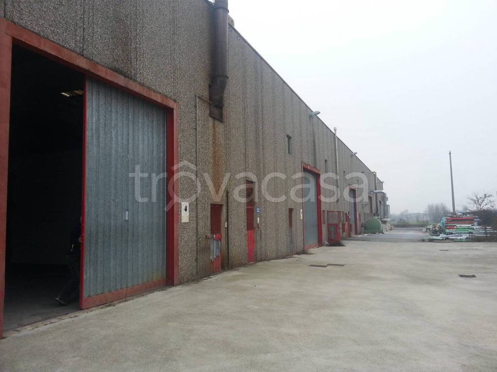 immagine annuncio 5 di 9