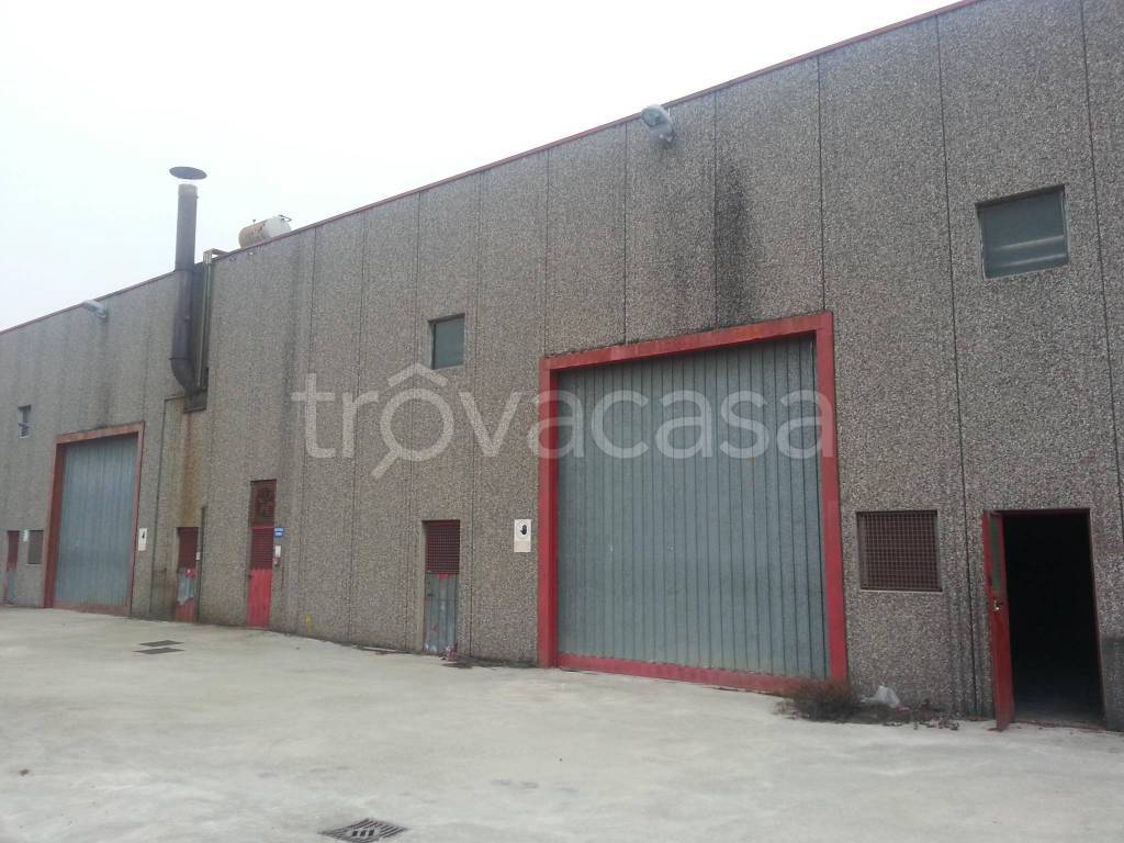 immagine annuncio 6 di 9