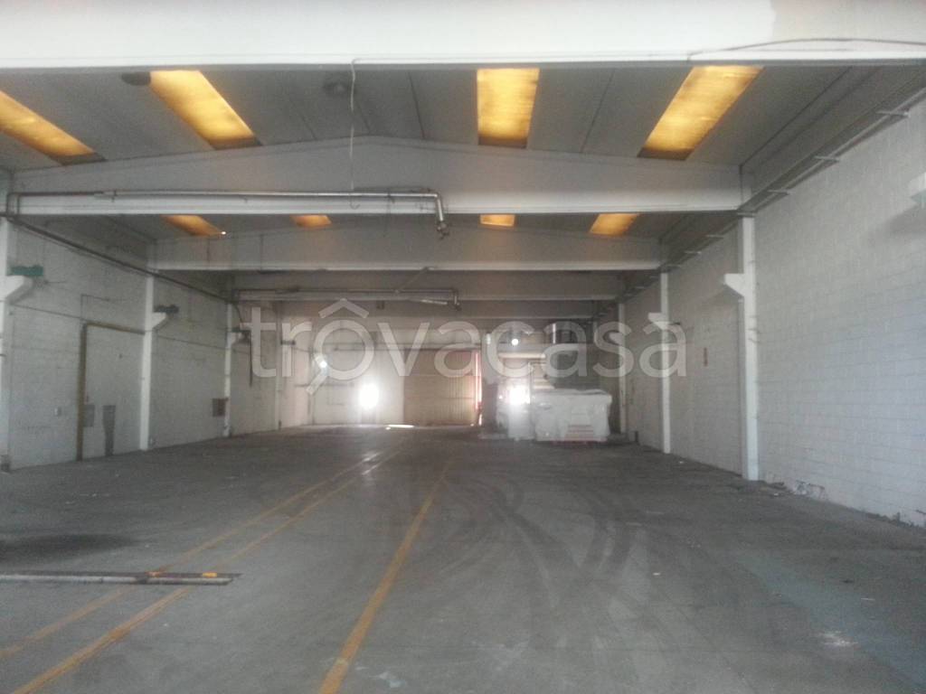 immagine annuncio 7 di 9