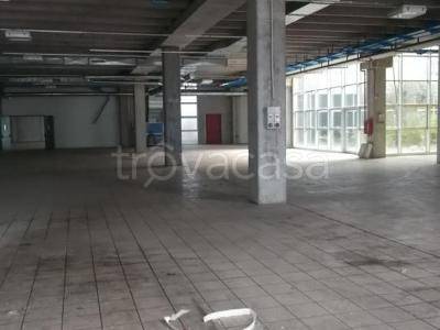 immagine annuncio 4 di 14