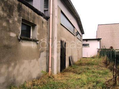 immagine annuncio 2 di 7